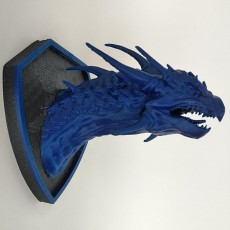 Picture of print of Dragon Head Wall Mount (Trophy)