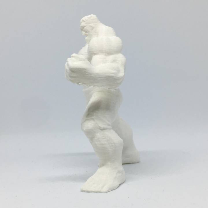 Hulk Sculpture (MeshMixer Combo) image