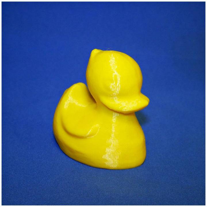 Rubber Ducky (Plastic Duck 3D Scan) image
