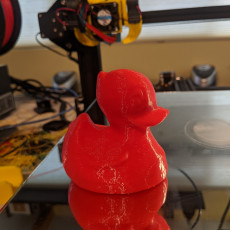 Picture of print of Rubber Ducky (Royal Guard) 3D Scan