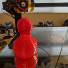 Picture of print of Rubber Ducky (Royal Guard) 3D Scan