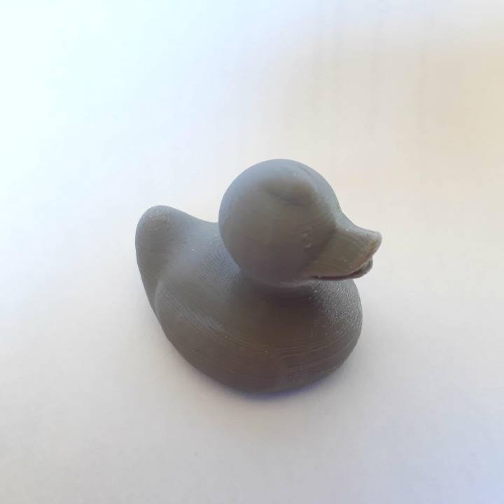 Rubber Ducky (Royal Guard) 3D Scan image