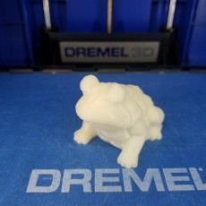 Picture of print of Frog Sculpture 3D Scan