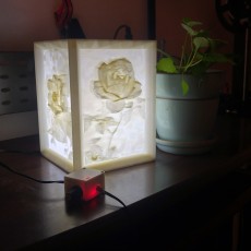 Picture of print of More-Than-a-Lithophane Camellia & Rose Lamp