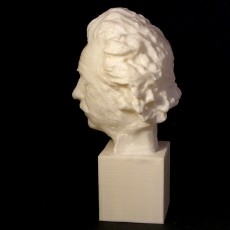 Picture of print of Einstein Bust 3D Scan (Jo Davidson)