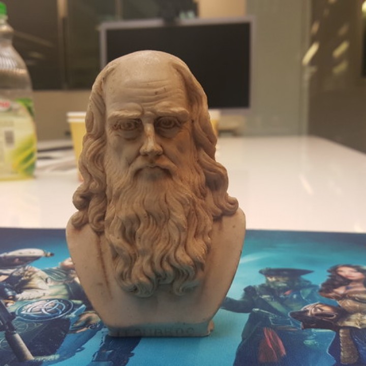 Leonardo Da Vinci Bust 3D Scan image