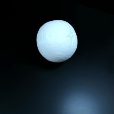 Picture of print of Orange 3D Scan