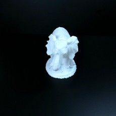Picture of print of Elephant Sculpture 3D Scan