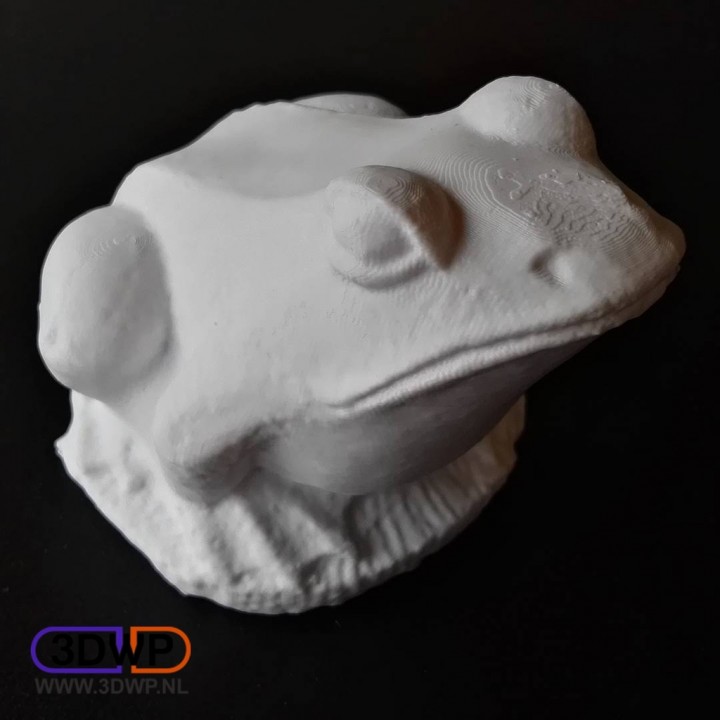 Frog Sculpture 3D Scan image