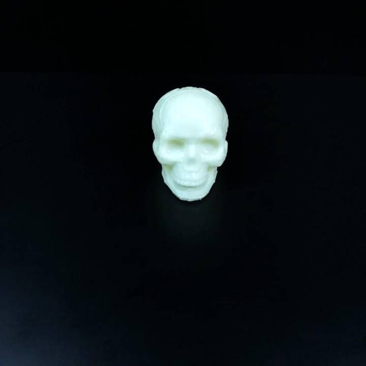 Mayan Skull 3D Scan (Hollow) image