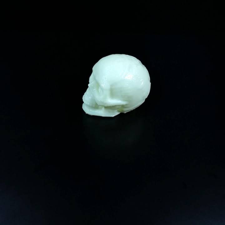 Mayan Skull 3D Scan (Hollow) image