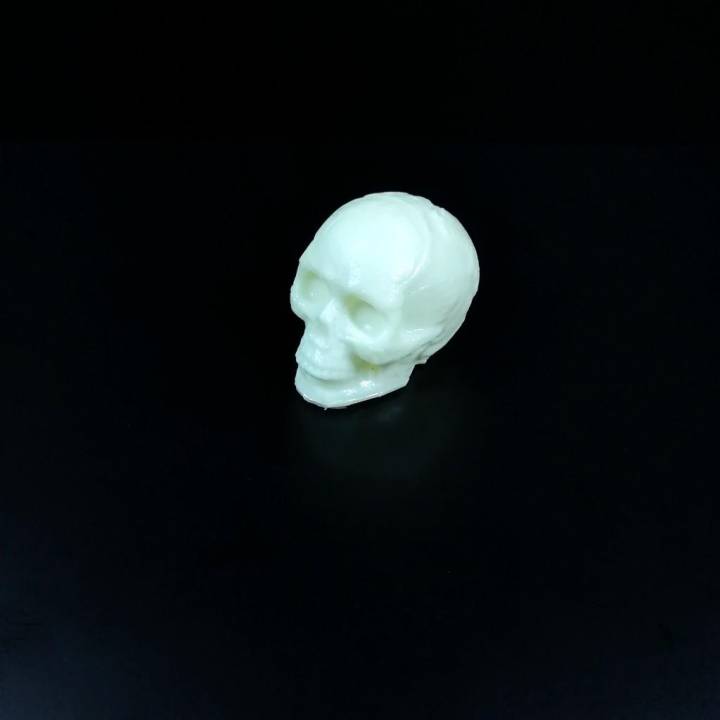 Mayan Skull 3D Scan (Hollow) image