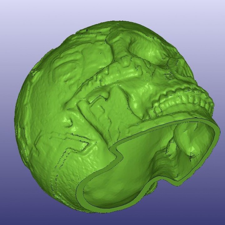 Mayan Skull 3D Scan (Hollow) image