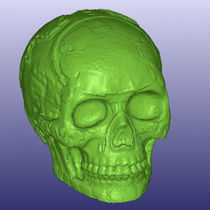 Mayan Skull 3D Scan (Hollow) image