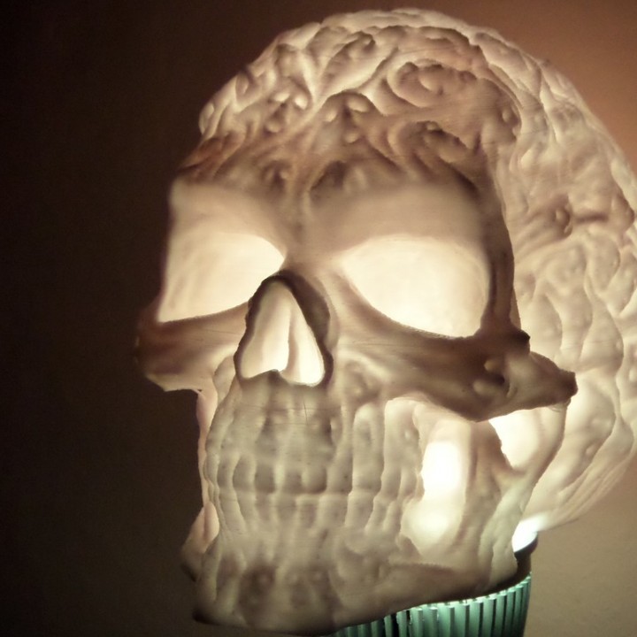 Spook Skull 3D Scan (Hollow) image