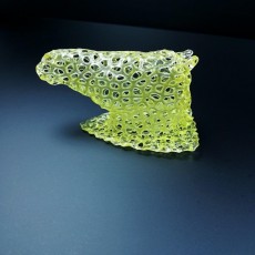 Picture of print of Horse Head Voronoi Style