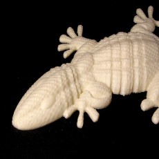 Picture of print of Gecko