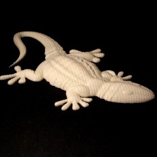 Picture of print of Gecko