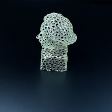 Picture of print of Einstein Bust (Voronoi Style)
