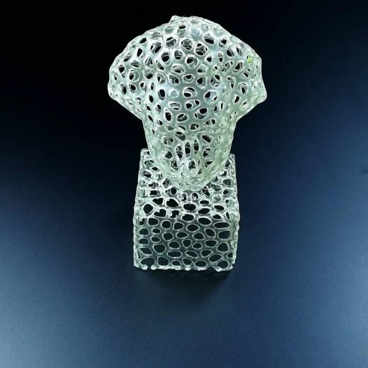 Einstein Bust (Voronoi Style) image
