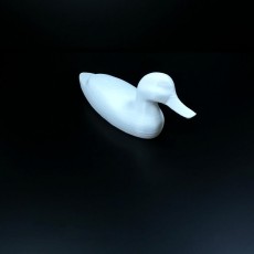 Picture of print of Vintage Duck Decoy 3D Scan