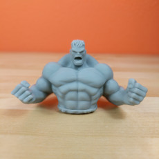 Picture of print of Hulk Sculpture (Statue 3D Scan)