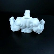 Picture of print of Hulk Piggy Bank