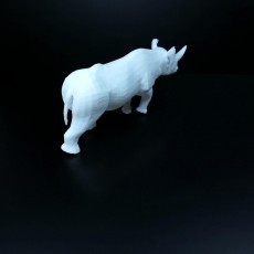 Picture of print of Rhino