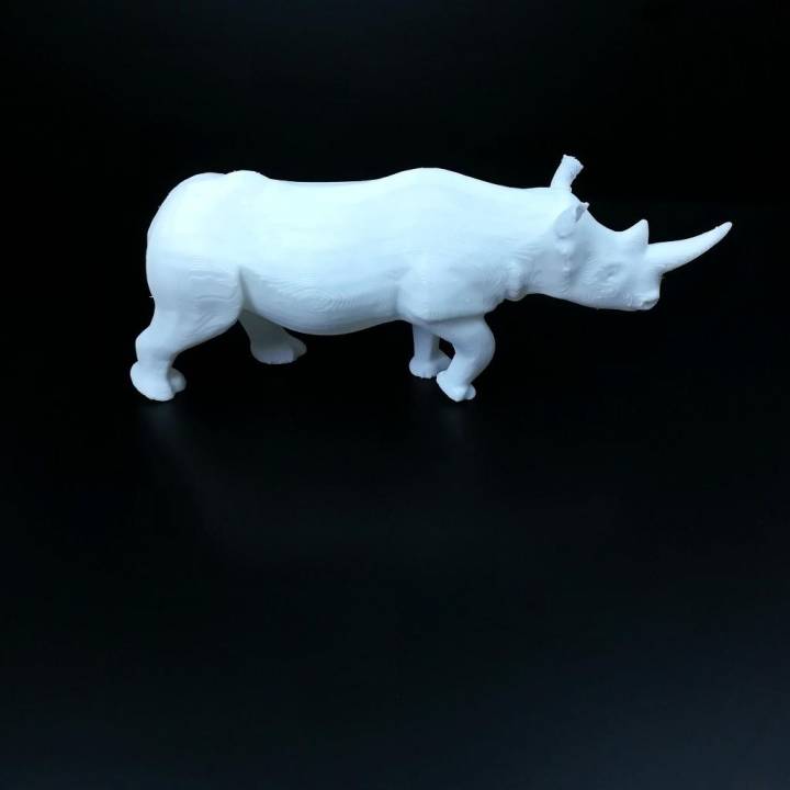 Rhino image