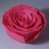 Jillian's Rose Fixed (Made Solid With MeshMixer) print image