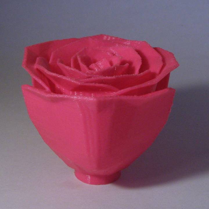 Jillian's Rose Fixed (Made Solid With MeshMixer) image