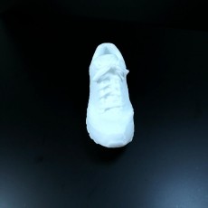 Picture of print of Reebok Realflex 3D Scan