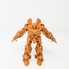 Picture of print of Transformers Bumblebee (Solid Model)