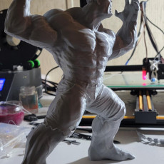 Picture of print of Hulk 3D Scan