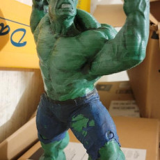 Picture of print of Hulk 3D Scan