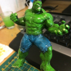 Picture of print of Hulk 3D Scan