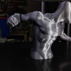 Picture of print of Spider-Man 3D Scan