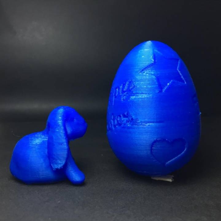 Easter Bunny Egg image
