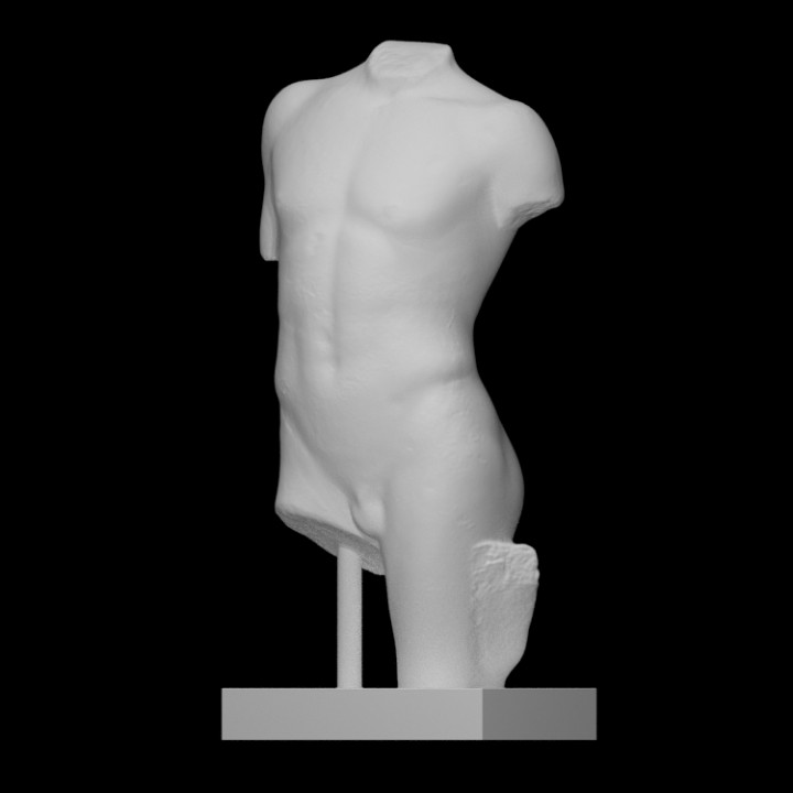 Torso of a Youth image
