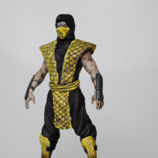 Picture of print of Mortal Kombat Classic Ninja