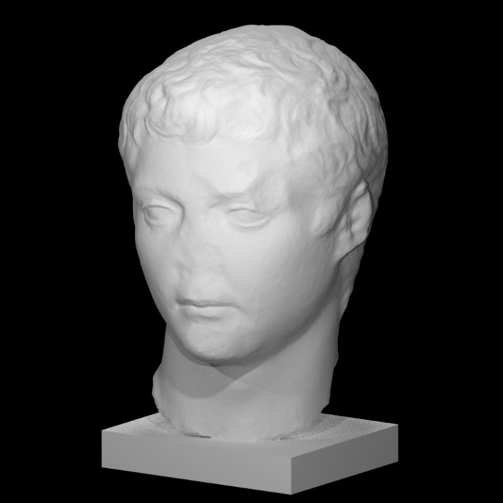 Julio-Claudian Prince image