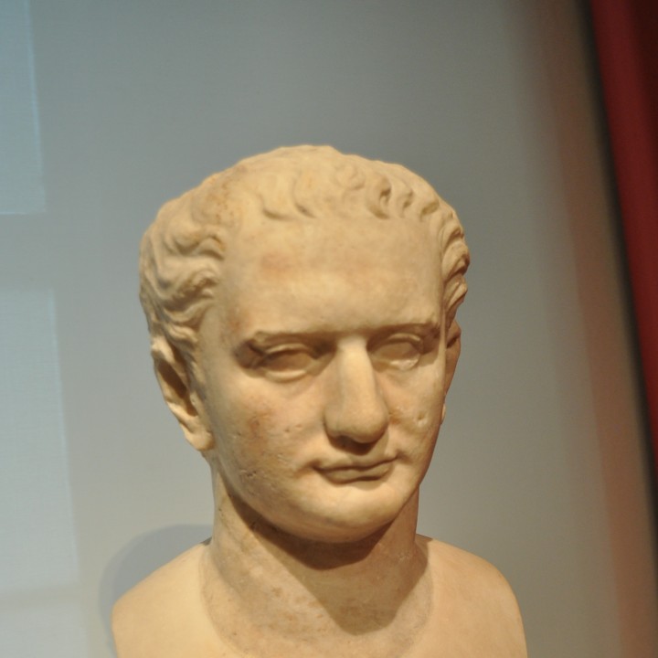 Bust of Emperor Domitian image