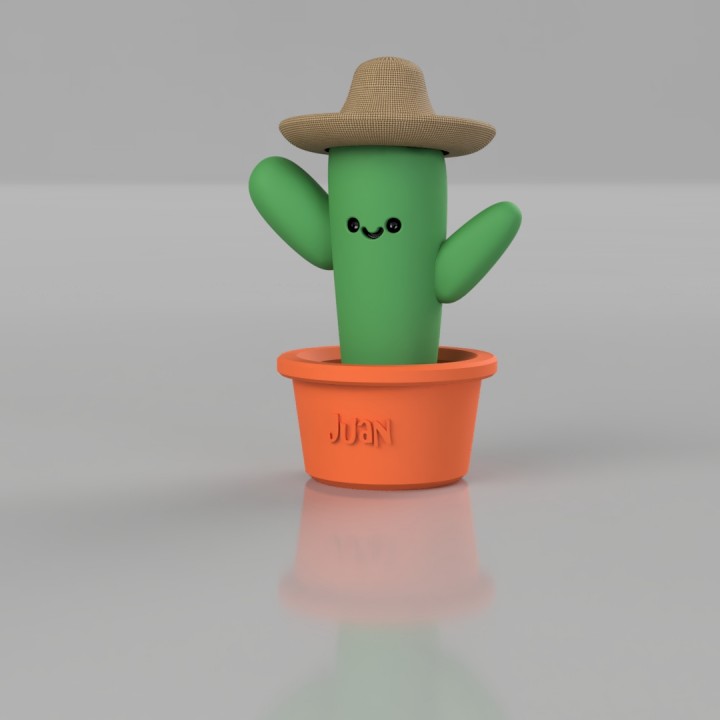 Juan the Cactus! image