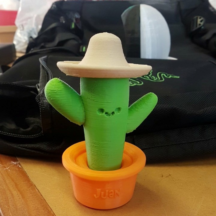 Juan the Cactus! image