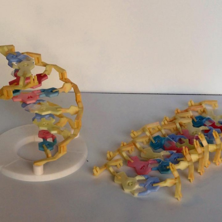 DNA Construction Set image