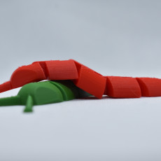 Picture of print of Articulated Slug