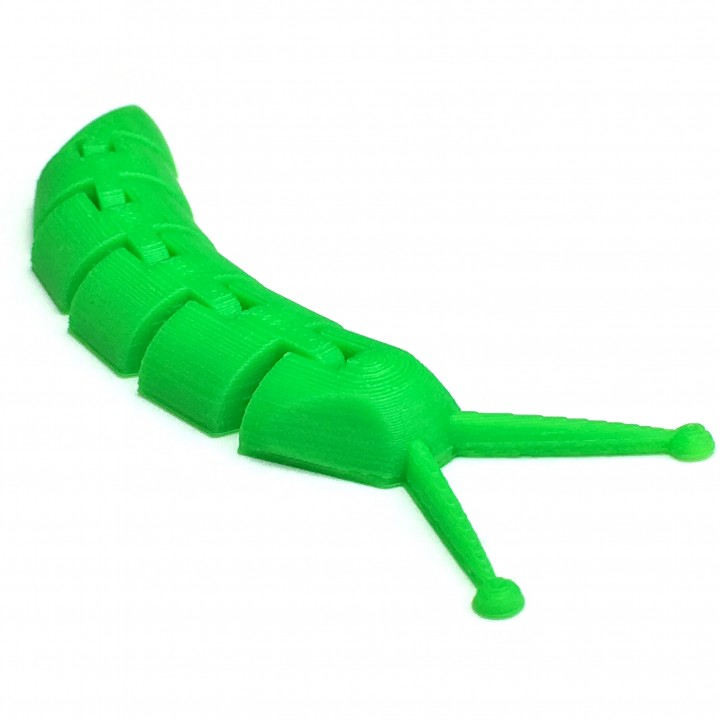 Articulated Slug image