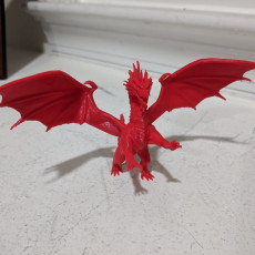 Picture of print of Red Dragon
