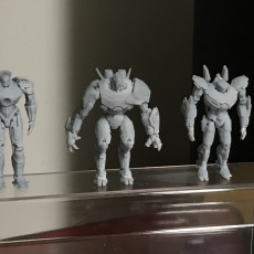 Picture of print of Pacific Rim Jaegers