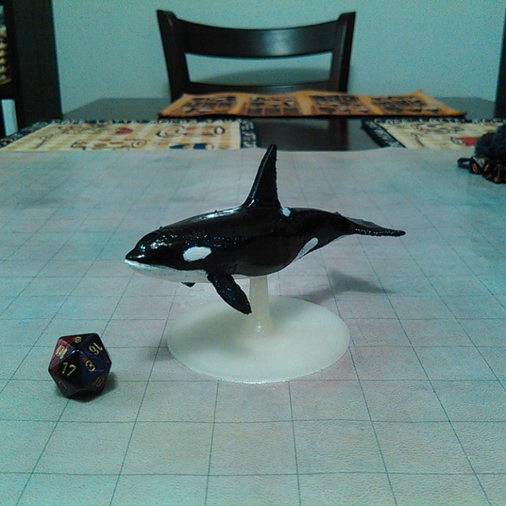 Killer Whale for Tabletop Gaming image